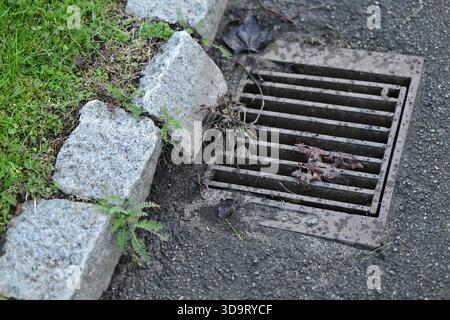 Close-up of a storm drain on a paved area surrounded by grass and stones. One stone has fallen over and is tilted. The drain is partially covered with Stock Photo