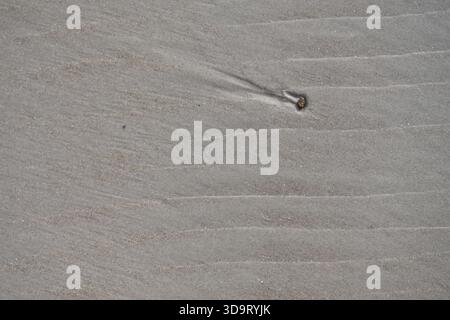 A close-up view of a sandy beach with gentle waves creating patterns in the sand. A small object is visible on the surface, adding interest to the sce Stock Photo