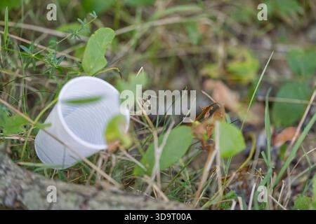 A discarded white plastic cup lying on the ground among green grass and leaves, highlighting environmental pollution. Stock Photo