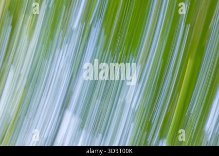 An abstract image featuring blurred green and blue vertical lines, creating a sense of movement and tranquility. The colors blend softly, evoking a na Stock Photo