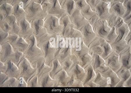 A close-up view of textured sand patterns created by wind and water, showcasing natural formations and shapes in a light beige color. Stock Photo