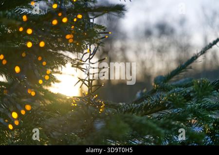 Close-up of a Christmas tree with glowing lights, set against a blurred sunset background. Stock Photo