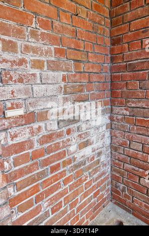 View of a brick wall featuring a mix of red bricks, showcasing a textured surface with some areas of mortar, White efflorescence on masonry Stock Photo