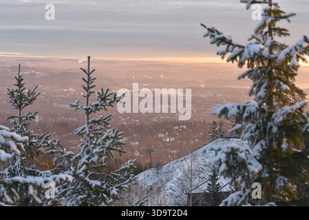 A winter landscape of Olso and snow-covered trees in the foreground, overlooking Oslo blanketed in snow. The sky is cloudy with a soft golden light il Stock Photo