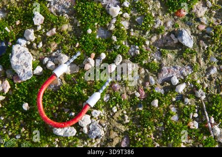 A close-up view of a textured surface covered with small stones and green moss. A red and white wire is partially visible, lying among the natural ele Stock Photo