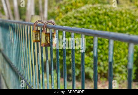 Two rusty padlocks hanging on a metal fence with blurred greenery in the background in Kiel near Schrevenpark and Schreventeich Stock Photo