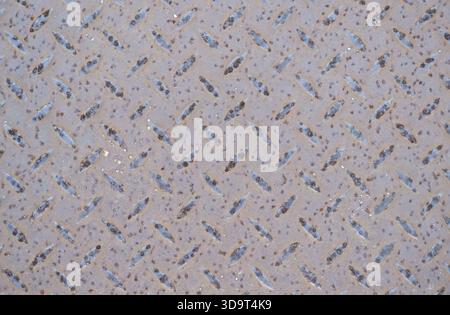 A close-up view of a textured metal surface with a diamond pattern, featuring a mix of light and dark colors, showcasing wear and subtle reflections. Stock Photo