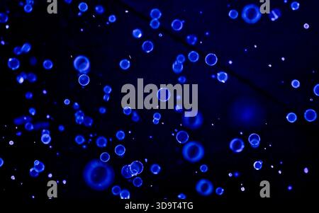 A mesmerizing abstract image featuring numerous blue bubbles floating against a dark background, creating a sense of depth and movement. Stock Photo