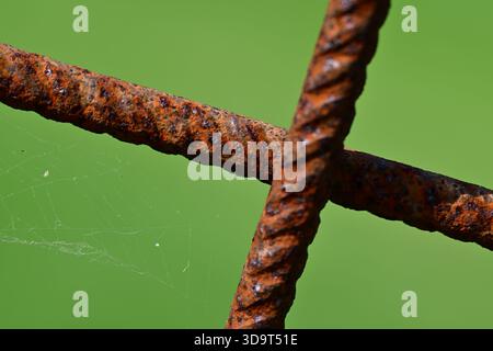 Close-up of rusty metal rods intersecting, with a spider web visible in the background. The vibrant green backdrop contrasts with the textured rust. Stock Photo