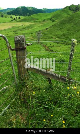 Metal gate meets concrete post and old wire fence on a hilly farm Stock Photo