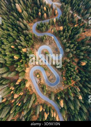 Aerial view of a winding road cutting through the dense green ...