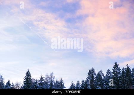 Pastel pink clouds drift above snow-dusted treetops in a calm winter sky at dusk. Stock Photo
