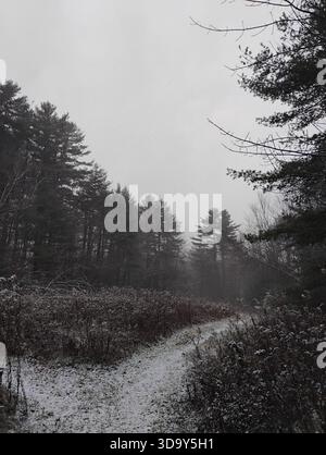 A dark, atmospheric winter landscape showing a snow-dusted path bordering a dense pine forest in Massachusetts Stock Photo