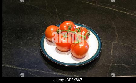 A small white plate with a dark blue rim holds five red vine-ripened tomatoes and sits on a dark, textured stone countertop Stock Photo