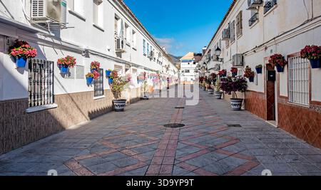 A narrow, sunlit street in Fuengirola, lined with traditional white Andalusian buildings and decorated with vibrant geraniums in blue ceramic pots. Stock Photo