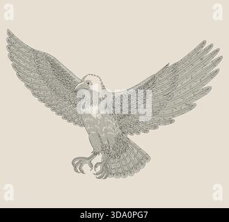Bald eagle flying on the sky, Vintage engraving drawing style vector illustration Stock Vector