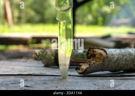 Close-up of a fixed blade knife piercing a split piece of wood on a weathered wooden surface. The green, out outdoor background creates a rustic, outd Stock Photo