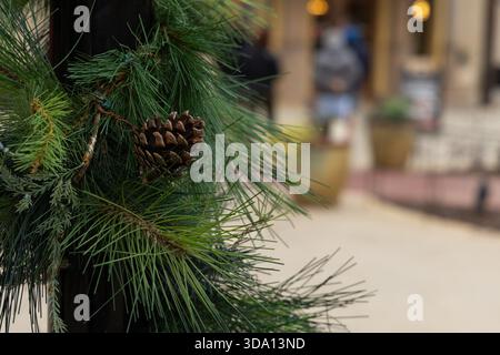 Green pine branches with a brown pine cone hang on a black pole near a busy street. People walk by, enjoying the holiday decorations. Stock Photo
