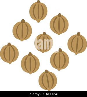 Rounded tan coriander seeds scattered in a loose pile. Stock Vector