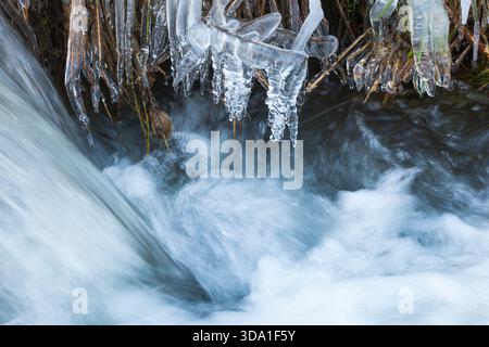 Grass covered with ice at the creek Stock Photo