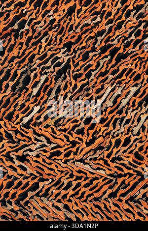 Closeup pattern of stacked old terracotta roof tiles forming an abstract geometric texture in warm earthy tones. Vertical image. Stock Photo