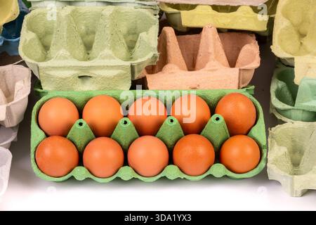 10 fresh chicken eggs in an egg box amongst many empty egg boxes. Studio shot of fresh healthy protein rich food and packaging. Stock Photo