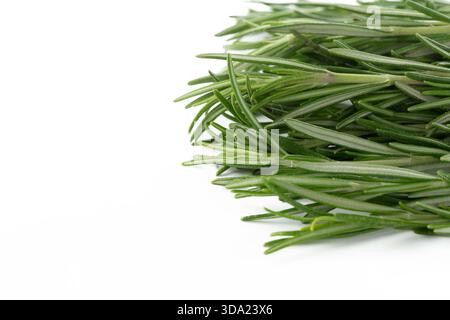 Fresh rosemary sprigs arranged on a clean white surface for culinary use Stock Photo