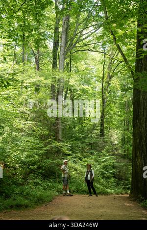 An older man and woman stand on a trail under tall trees Stock Photo