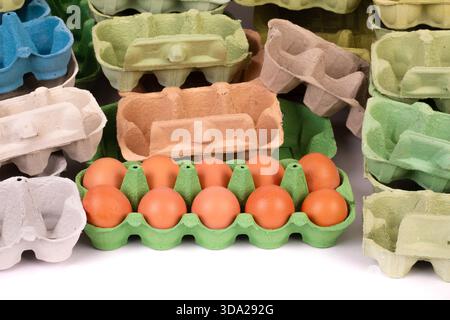 10 fresh chicken eggs in an egg box amongst many empty egg boxes. Studio shot of fresh food and packaging. Stock Photo