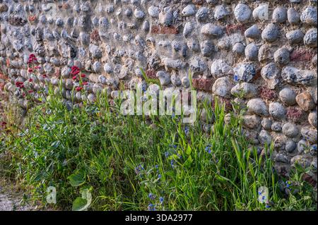 Local construction flint walls in summer, Norfolk Stock Photo