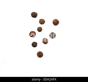 Mix of whole  pieces of black pepper, peppercorns or allspice isolated on white, top view, clipping path Stock Photo