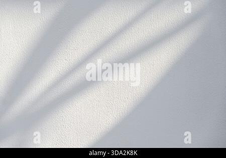 Soft plant shadows on a wall as texture or background Stock Photo