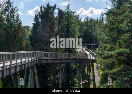 Avondale, Ireland-September 25, 2025; Viewing Tower of the Treetop Walk ...