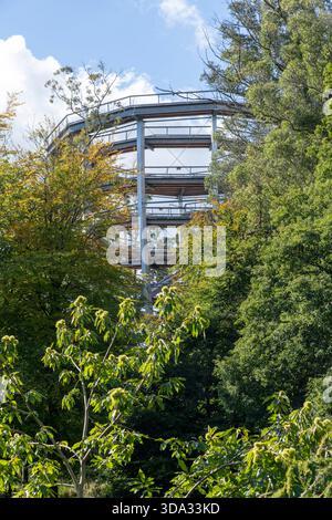 Avondale, Ireland-September 25, 2025; Viewing Tower of the Treetop Walk ...