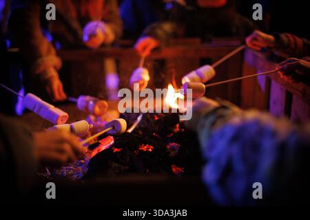 People (hands) toasting marshmallows over an outdoor fire pit at night during a winter event. Stock Photo