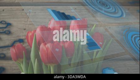 Showing cluster of red tulip blossoms with green stems on wooden plank, floating HUD panels Stock Photo