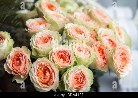 A beautiful bouquet of creamy white and peach roses (Rosa hybrid) captured in natural daylight with the gentle petals and pastel tones Stock Photo