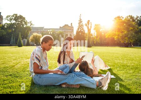 In a sunny park, a lively group of teenagers enjoy studying, socializing, and relaxing with books, laptops, and friends, embracing freedom and camarad Stock Photo