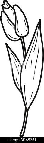 Tulip Flower Hand Drawn Doodle. Vector Illustration. Isolated Single Botanical Spring Blossom Plant. Line Art. Not AI. Stock Vector