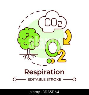 Respiration multi color concept icon Stock Vector