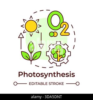 Photosynthesis multi color concept icon Stock Vector