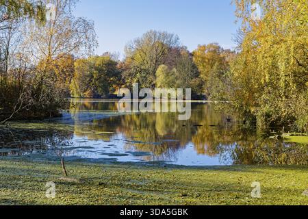 Autumn colors on Sandbrack, a lake in the Kirchwerder district of Hamburg. Fuenfhausen, Kirchwerder, Hamburg, Germany Stock Photo