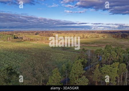 Pines in the countryside of Gross Luebbenau in the Oberspreewad-Lausitz district, UNESCO Spreewald Biosphere Reserve. aerial view. Luebbenau, Brandenb Stock Photo