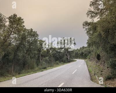 Quiet two-lane road winding through the oak woodlands of the Massif des Maures in Var, Provence. Pale asphalt, curve markings, and dense Mediterranean Stock Photo