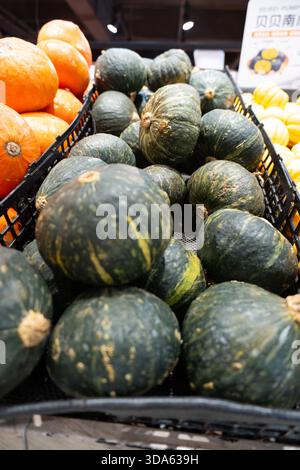 Orange pumpkins on the ground at a market, ready for the autumn harvest season and Halloween decoration Stock Photo