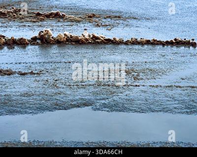 Close-up of a textured wet road. A horizontal line of dirt and thawing snow separates puddles and a moist surface. Ideal for backgrounds, textures Stock Photo