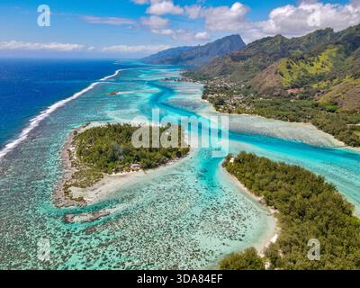 High-angle drone shot showing the vibrant coral reef, deep blue ocean, and clear turquoise channels of the Moorea lagoon, French Polynesia. Stock Photo