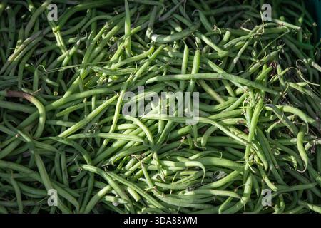 Pile of fresh green beans (string beans, snap beans) at a street market, showcasing vibrant vegetables, healthy food, and fresh produce shopping Stock Photo