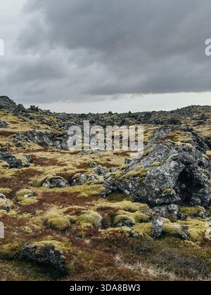 Moss-covered lava field landscape in Iceland on a cloudy day Stock Photo