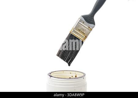 A black paint brush drips thick lacquer onto an open white can, isolated on a white background. Close-up view of painting tools and materials. Stock Photo